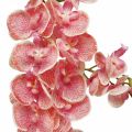 Floristik24 Artificial orchids deco artificial flower orchid pink 71cm