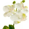 Floristik24 Artificial orchids Artificial flower orchid white 20cm