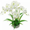 Floristik24 Artificial orchids artificial flowers in white pot 60cm