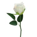 Artificial roses in bunch white 30cm 8 pcs | Floristik24.ie