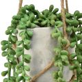 Floristik24 Artificial succulents hanging snake stonecrop in ceramic pot 40cm