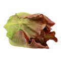 Floristik24 Artificial lettuce head food dummy decorative vegetables 14cm