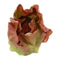 Floristik24 Artificial lettuce head food dummy decorative vegetables 14cm