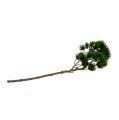Floristik24 Artificial fir branch, pine branch 62cm
