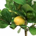 Floristik24 Artificial lemon tree in a pot Lemon tree H57cm