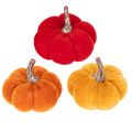 Floristik24 Decorative pumpkin set made of velvet in three colors, mini pumpkins 5cm, 12 pieces