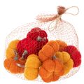 Decorative pumpkin set made of velvet in three colors, mini pumpkins 5cm, 12 pieces | Floristik24.ie
