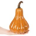 Ceramic Pumpkin Autumn Table Decoration 26cm | Floristik24.ie