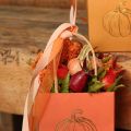 Pumpkin Set: Small decorative pumpkins for autumn decoration, 5cm, 3 pieces | Floristik24.ie