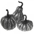 Floristik24 Decorative Pumpkin Silver, Black Assorted H10.5/14.5/17.5cm 3pcs