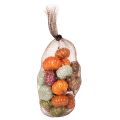 Mini Pumpkin Decoration Set,