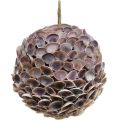 Floristik24 Decorative ball shells shell decoration for hanging maritime decoration Ø18cm