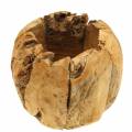 Floristik24 Bowl pot root wood camphor Ø20cm H17cm