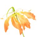Artificial Gloriosa orange