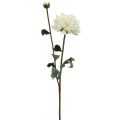 Floristik24 Artificial flower Dahlia White Artificial flower with bud H57cm