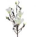 Floristik24 Artificial magnolia branch cream 90cm