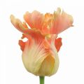 Floristik24 Artificial flower, parrot tulip orange, spring flower 63cm