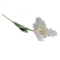 Floristik24 Artificial flower, parrot tulip white green, spring flower 69cm