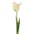 Floristik24 Artificial flower, parrot tulip white green, spring flower 69cm