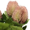 Floristik24 Artificial Flowers, Banksia, Proteaceae White-Purple L58cm H6cm