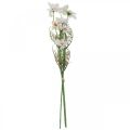 Floristik24 Artificial flowers Cosmea white silk flowers H51cm 3pcs