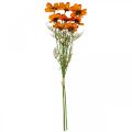Floristik24 Artificial flowers Cosmea Orange jewelry basket H51cm 3pcs