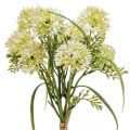 Floristik24 Artificial flowers white allium decoration ornamental onions 34cm 3pcs in bunch