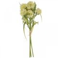 Floristik24 Artificial flowers white allium decoration ornamental onions 34cm 3pcs in bunch