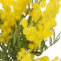 Floristik24 Artificial plant, silver acacia, deco mimosa yellow, 39cm 3pcs