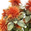 Floristik24 Artificial plants safflower thistle branch thistle orange 4pcs