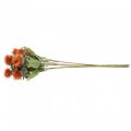 Floristik24 Artificial plants safflower thistle branch thistle orange 4pcs
