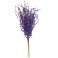 Floristik24 Artificial plants purple dry grass artificially flocked 62cm 3pcs