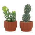 Floristik24 Artificial Plants Succulent Cactus Artificial Green Plant 14.5/15.5cm 2pcs