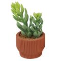 Floristik24 Artificial Plants Succulent Cactus Artificial Green Plant 14.5/15.5cm 2pcs