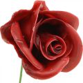 Artificial roses Bordeaux wax roses decorative roses wax Ø6cm 18 pcs | Floristik24.ie