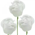 Floristik24 Artificial roses cream wax roses decorative roses wax Ø6cm 18 pcs