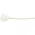 Artificial roses cream wax roses decorative roses wax Ø6cm 18 pcs | Floristik24.ie