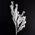 Floristik24 Artificial branch frosted decorative branch winter decoration white 78cm 2pcs