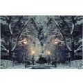 Floristik24 LED picture winter landscape park with lanterns LED mural 58x38cm