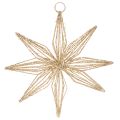 Floristik24 LED Decorative Star made of wire for hanging, 20 LEDs, warm white, indoor, 22cm