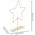 Star with 50 LEDs, metal table decoration, battery operated, for indoor use, 33cm | Floristik24.ie