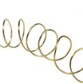 Floristik24 Decorative Enamel Wire Wrapping Wire Gold 0.50mm 50m 100g