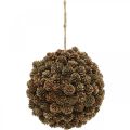 Floristik24 Larch cone ball decoration with cone for hanging nature Ø20cm