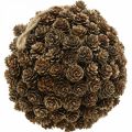 Floristik24 Larch cone ball decoration with cone for hanging nature Ø20cm