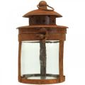 Floristik24 Metal lantern with patina, summer decoration, lantern made of metal rust H18cm Ø10cm