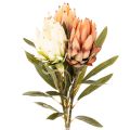 Floristik24 Artificial Protea Leucadendron flower with long stem, 65cm, 3 pieces