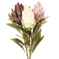 Floristik24 Protea artificial flower Leucadendron 100cm 3pcs