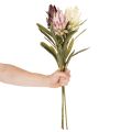 Protea artificial flower Leucadendron 100cm 3pcs | Floristik24.ie