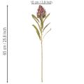 Protea artificial flower Leucadendron 100cm 3pcs | Floristik24.ie