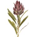 Protea artificial flower Leucadendron 100cm 3pcs | Floristik24.ie